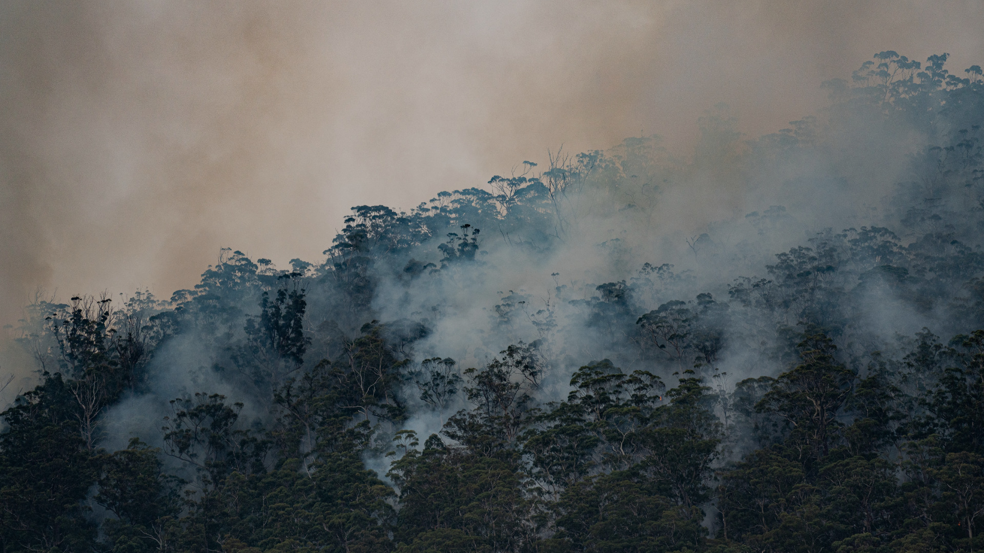 Designing for climate change - before it’s too late. | Hoare Lea